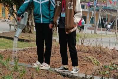 Chăm sóc vườn cây thuốc nam.